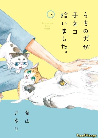 Пёс встречает котят