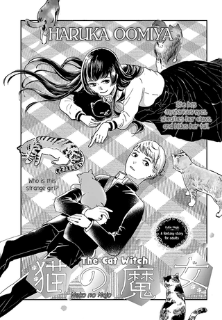 Кошачья ведьма