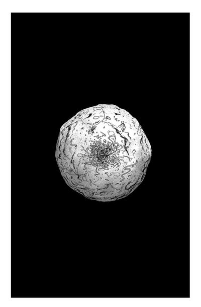 Человекообразная обезьяна