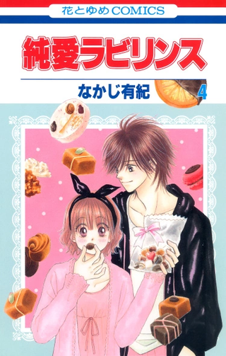 Джунай лабиринт