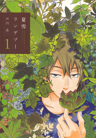 Встреча под летним снегом