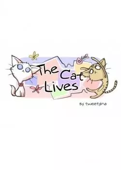 Кошачьи будни