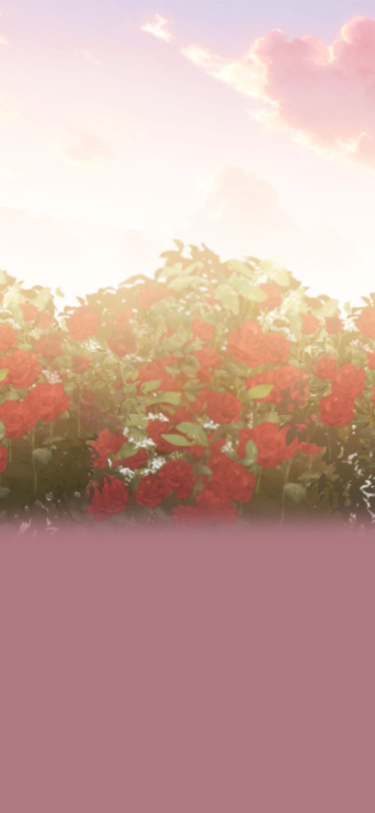 Принцесса-гадалка