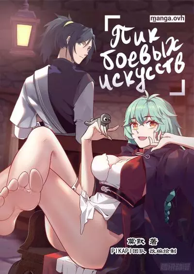 Пик боевых искусств