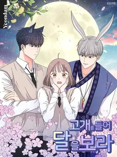 Постер Глядя на луну