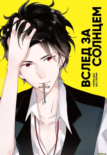 Вслед за Солнцем