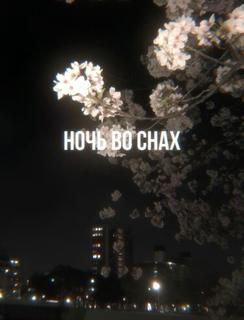 Ночь во снах