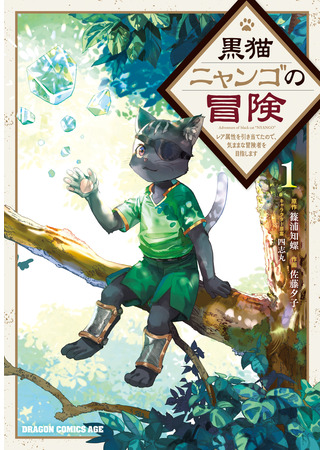 Приключения чёрного кота Нянго: «Поскольку  у меня есть редкий атрибут, я стремлюсь стать беззаботным авантюристом»