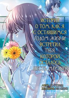 История о том, как я, с оставшимся годом жизни, встретил тебя, у которой осталось шесть месяцев