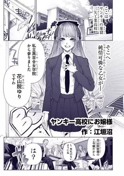 Леди в школе хулиганов 