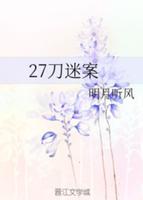 Случай 27 ножевых ударов (Новелла)