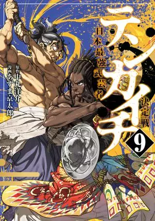 Тенкаичи - турнир сильнейших мастеров боевых искусств Японии