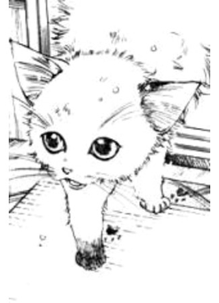 Сладко-горькие воспоминания