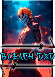 Блич DxD