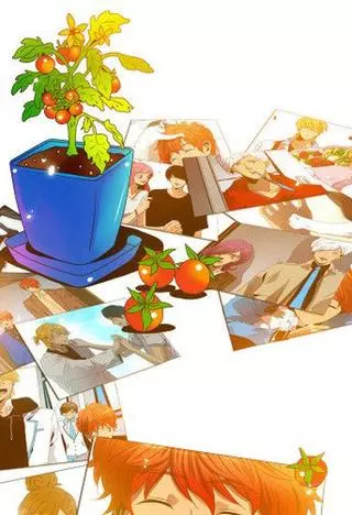 Помидорки черри