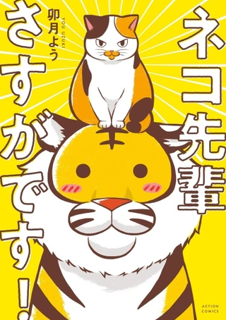 Это же кот-сэмпай!