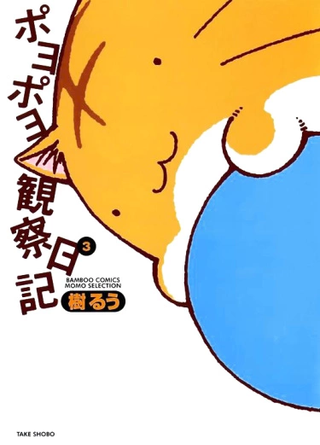 Дневник наблюдений Поё