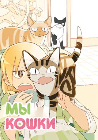 Мы кошки
