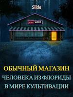 Обычный магазин человека из Флориды в мире культивации (Новелла)