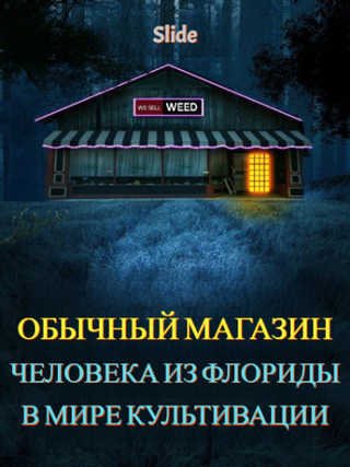 Обычный магазин человека из Флориды в мире культивации (Новелла)