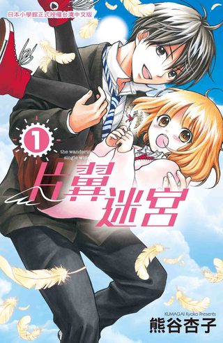 Крылатый лабиринт