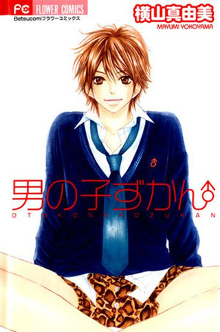 Всё о мальчиках