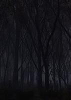 Эльдграун. Новая жизнь (Новелла)