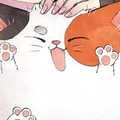 HORII Yuu