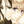 MOMOYUKI Kotori