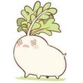 NATSUNO Yoruko