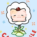 CHAMOMILE /