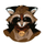 Raccoons manga