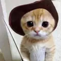 kittycomics