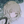 Yoru no Hitsujigumo