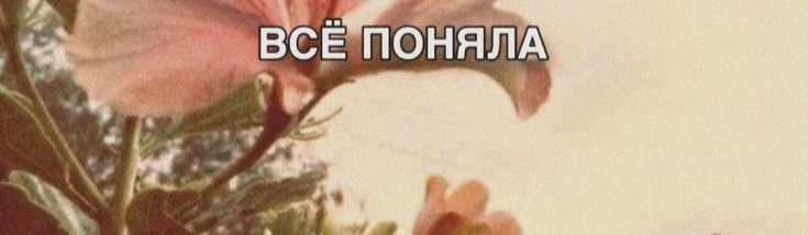 Сисидна🌹