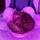 Andrey1298