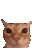 Ayup