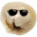 Pelmeshek