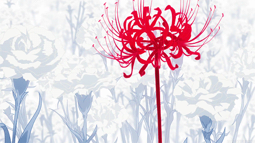 Lady_Lycoris