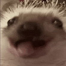 𝓶𝓲𝓷.𝓷𝓮𝓶𝓾