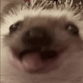𝓶𝓲𝓷.𝓷𝓮𝓶𝓾