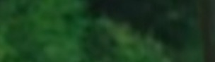 monkeY0002
