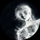 SET_BON_JOV