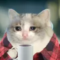 Nyanta_san