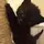 negr_black