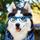 NikRedFox