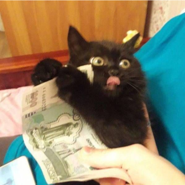 Cамизнаетехто