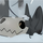 mini_amigo