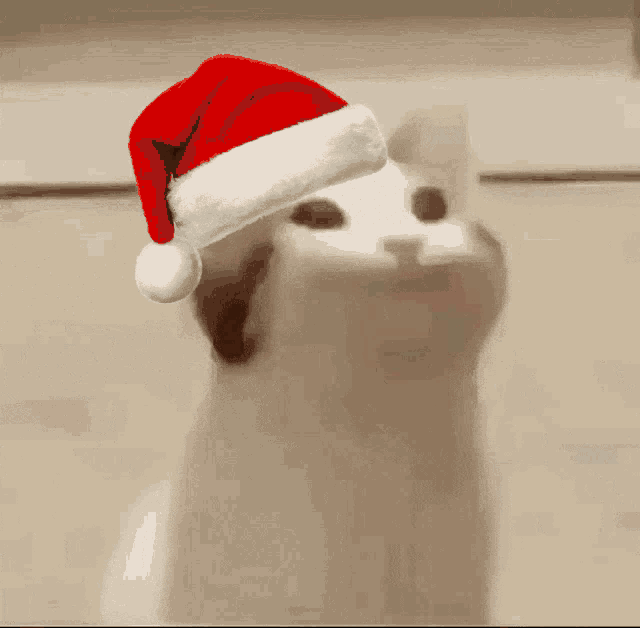 POP_CAT