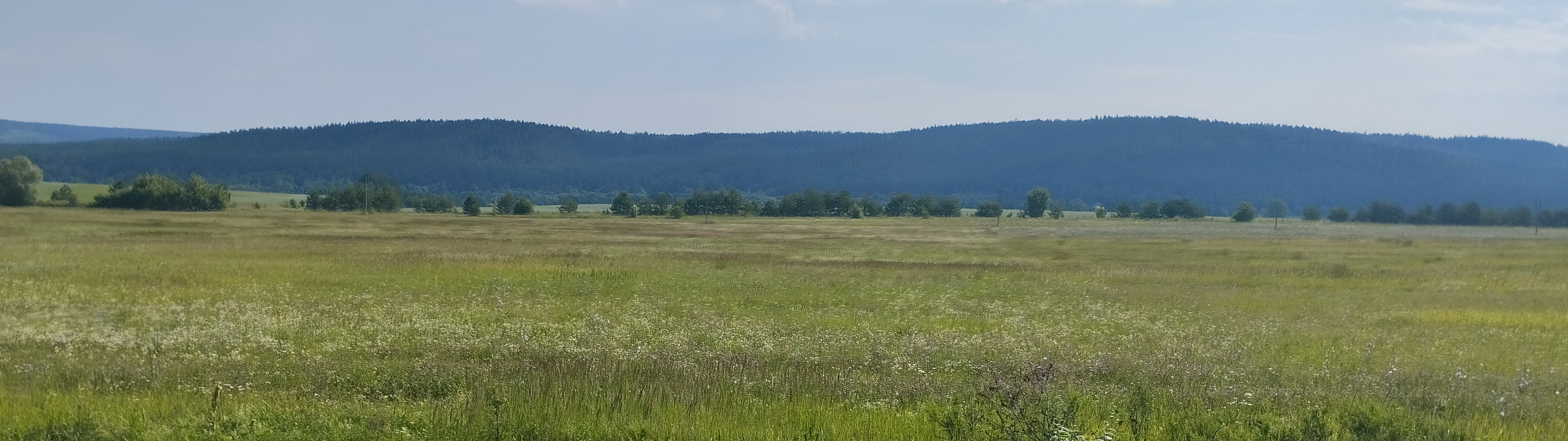 Рокуго